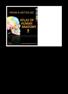 Atlas of Human Anatomy by Netter